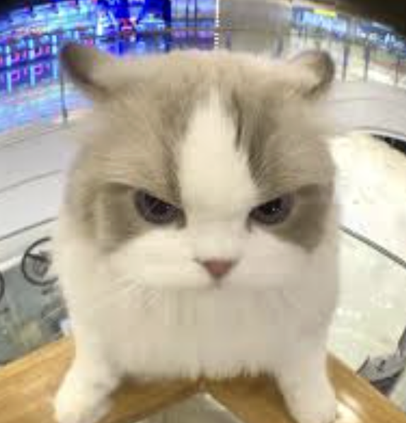 jack³